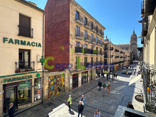 Vistas