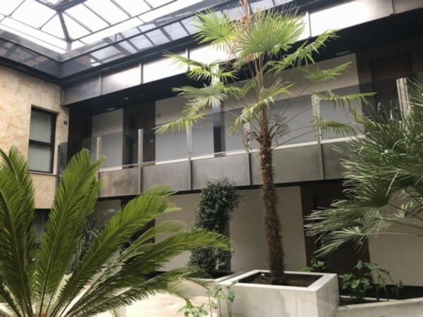 Patio de Manzana