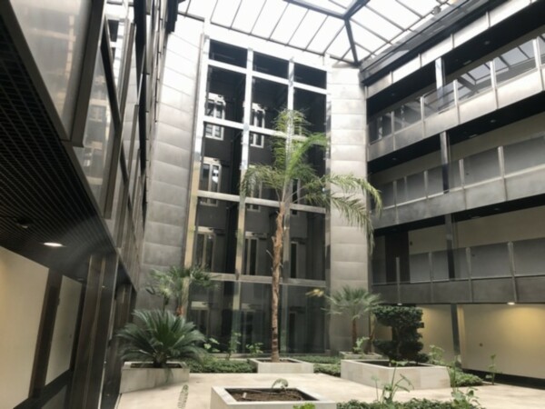 Patio de manzana