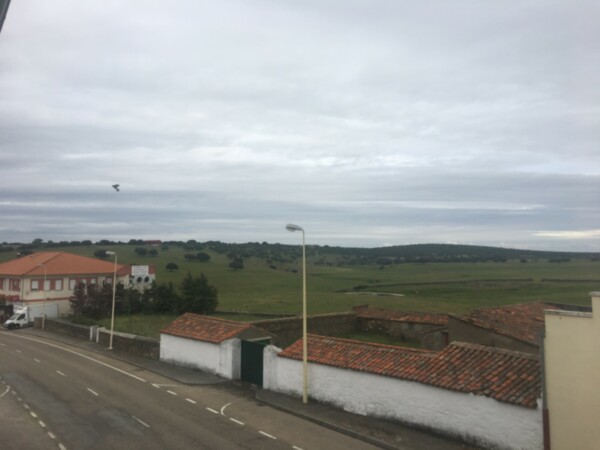 Vistas