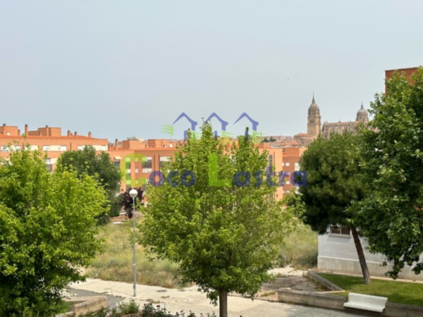 Vistas