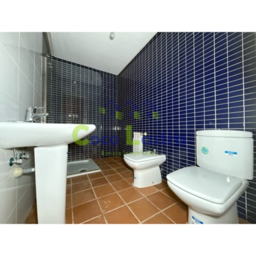 Baño suite