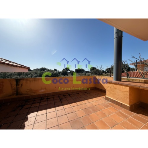 Terraza 